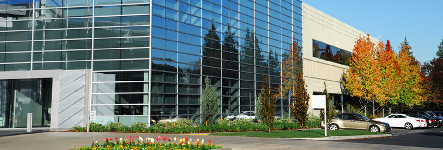 Commercial Landscaper Burlington