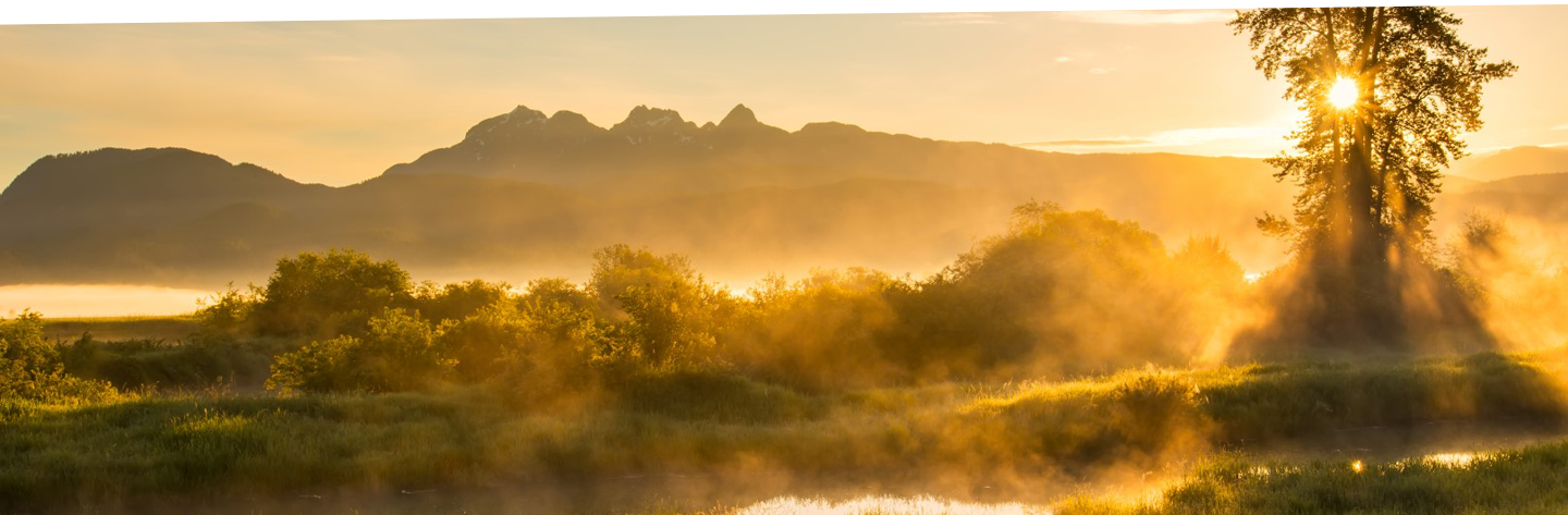 Privacy Ridge Rock Landscapes