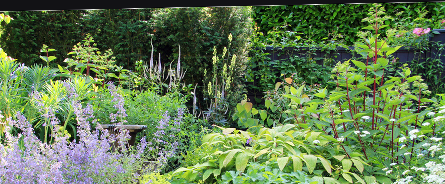 Privacy Ridge Rock Landscapes